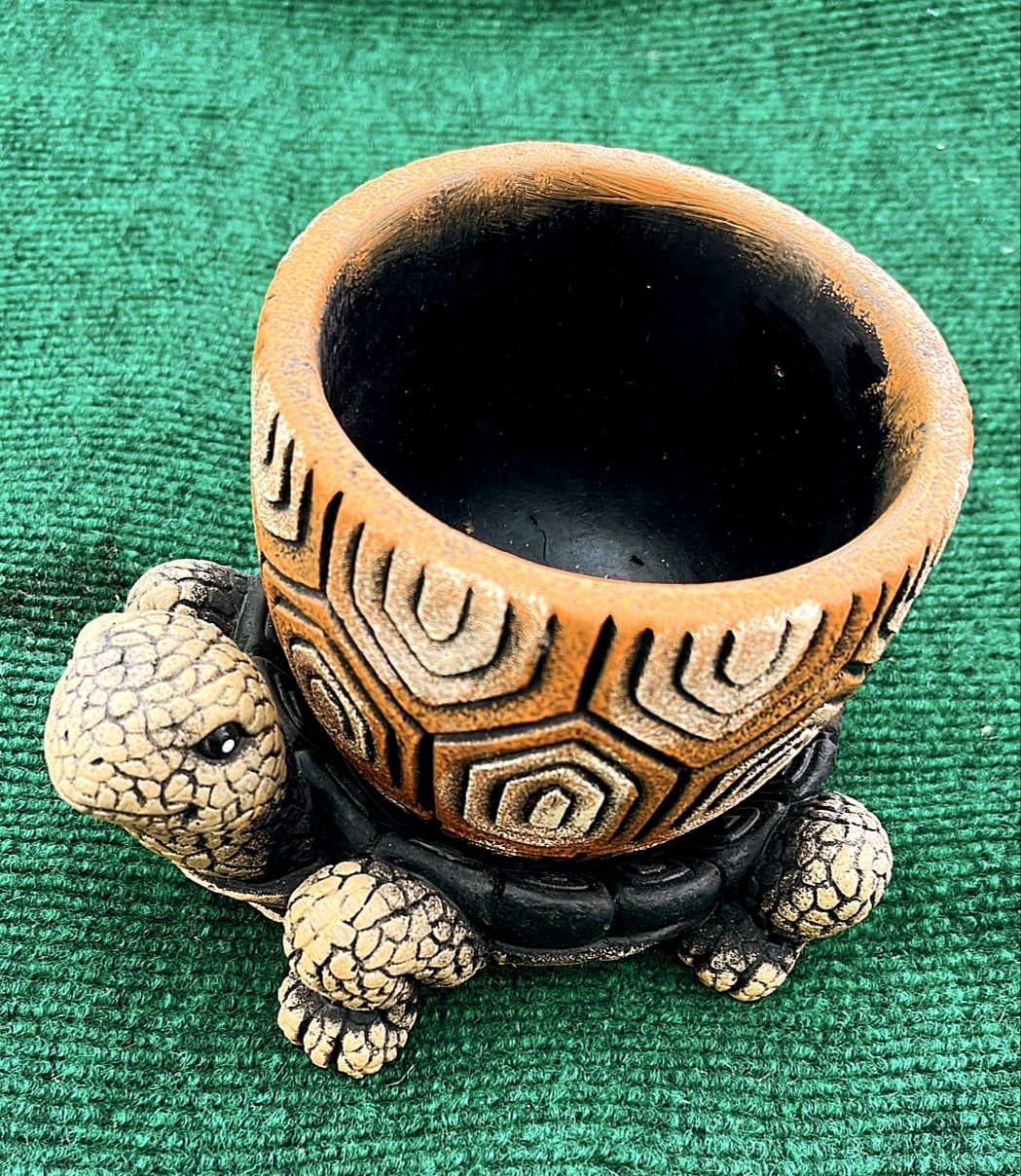 WhatsApp Image 2026-07-17 at 18.49.10 Vaso Decorativo Tartaruga em Resina - Image 1